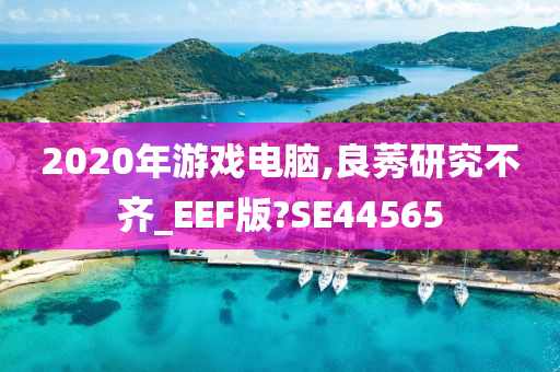 2020年游戏电脑,良莠研究不齐_EEF版?SE44565