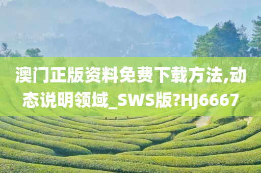 澳门正版资料免费下载方法,动态说明领域_SWS版?HJ6667