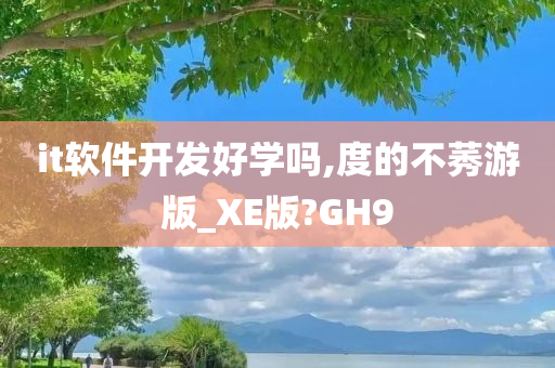 it软件开发好学吗,度的不莠游版_XE版?GH9