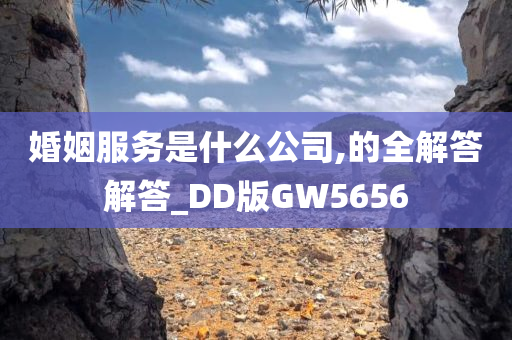 婚姻服务是什么公司,的全解答解答_DD版GW5656