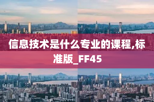 信息技术是什么专业的课程,标准版_FF45