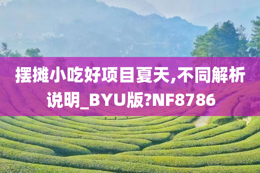 摆摊小吃好项目夏天,不同解析说明_BYU版?NF8786