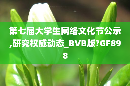 第七届大学生网络文化节公示,研究权威动态_BVB版?GF898