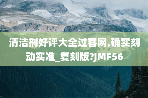 清洁剂好评大全过客网,确实刻动实准_复刻版?JMF56