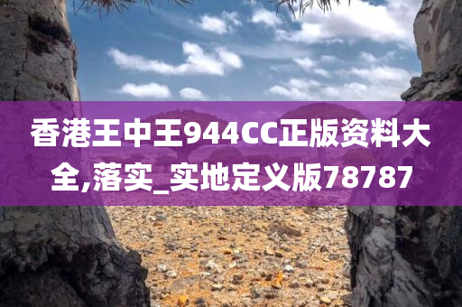 香港王中王944CC正版资料大全,落实_实地定义版78787