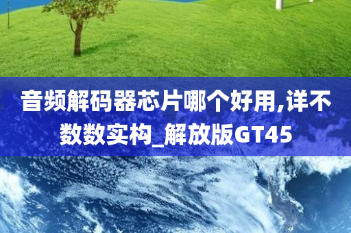 音频解码器芯片哪个好用,详不数数实构_解放版GT45