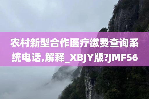 农村新型合作医疗缴费查询系统电话,解释_XBJY版?JMF56