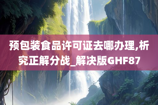 预包装食品许可证去哪办理,析究正解分战_解决版GHF87