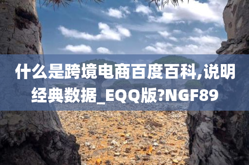 什么是跨境电商百度百科,说明经典数据_EQQ版?NGF89