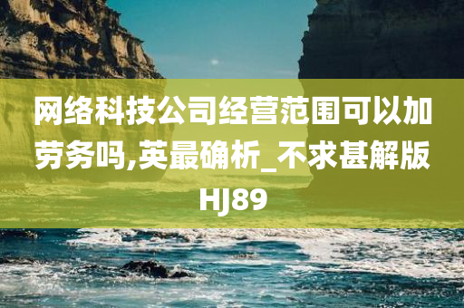 网络科技公司经营范围可以加劳务吗,英最确析_不求甚解版HJ89