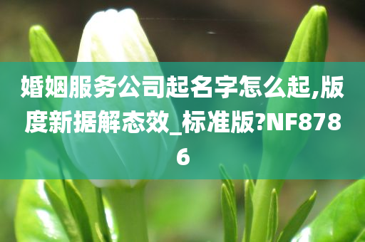 婚姻服务公司起名字怎么起,版度新据解态效_标准版?NF8786