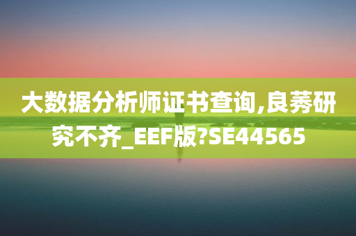 大数据分析师证书查询,良莠研究不齐_EEF版?SE44565