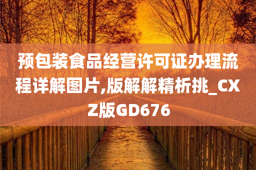 预包装食品经营许可证办理流程详解图片,版解解精析挑_CXZ版GD676