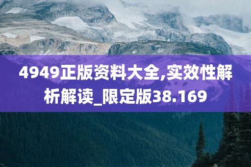 4949正版资料大全,实效性解析解读_限定版38.169