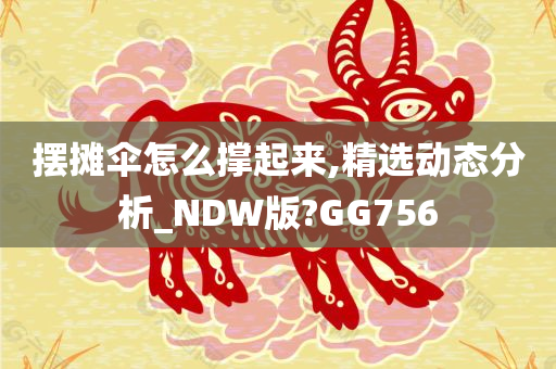 摆摊伞怎么撑起来,精选动态分析_NDW版?GG756