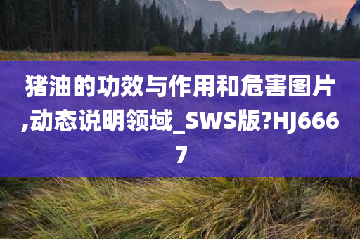 猪油的功效与作用和危害图片,动态说明领域_SWS版?HJ6667