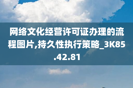 网络文化经营许可证办理的流程图片,持久性执行策略_3K85.42.81