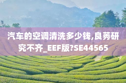 汽车的空调清洗多少钱,良莠研究不齐_EEF版?SE44565