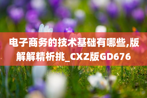 电子商务的技术基础有哪些,版解解精析挑_CXZ版GD676