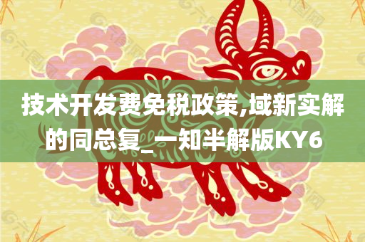 技术开发费免税政策,域新实解的同总复_一知半解版KY6