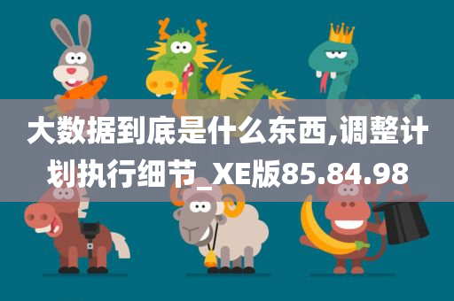 大数据到底是什么东西,调整计划执行细节_XE版85.84.98