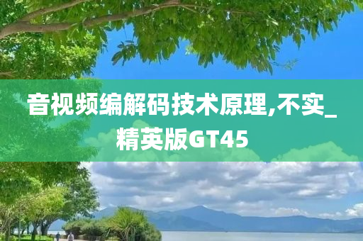 音视频编解码技术原理,不实_精英版GT45