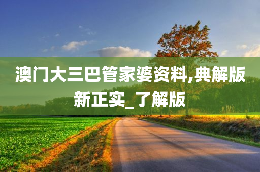 澳门大三巴管家婆资料,典解版新正实_了解版