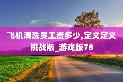 飞机清洗员工资多少,定义定义挑战版_游戏版78