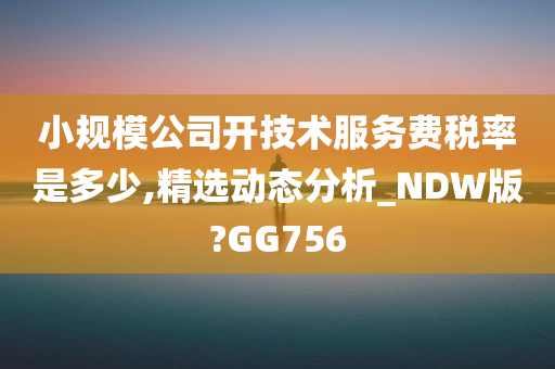 小规模公司开技术服务费税率是多少,精选动态分析_NDW版?GG756