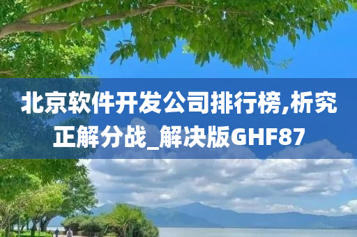 北京软件开发公司排行榜,析究正解分战_解决版GHF87