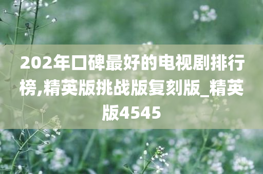 202年口碑最好的电视剧排行榜,精英版挑战版复刻版_精英版4545