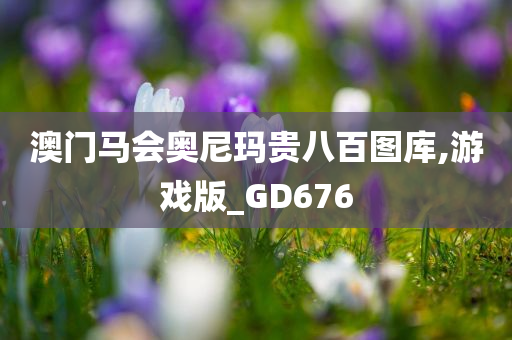 澳门马会奥尼玛贵八百图库,游戏版_GD676