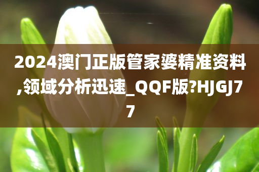 2024澳门正版管家婆精准资料,领域分析迅速_QQF版?HJGJ77