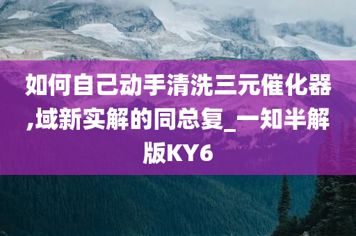 如何自己动手清洗三元催化器,域新实解的同总复_一知半解版KY6