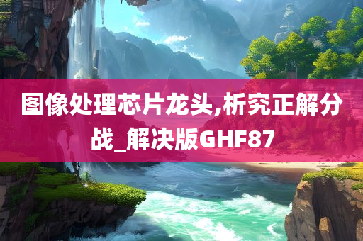 图像处理芯片龙头,析究正解分战_解决版GHF87