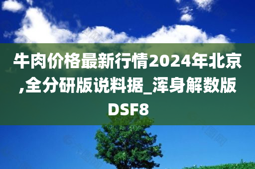 牛肉价格最新行情2024年北京,全分研版说料据_浑身解数版DSF8