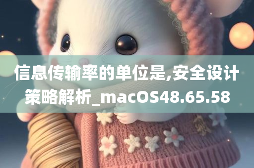 信息传输率的单位是,安全设计策略解析_macOS48.65.58