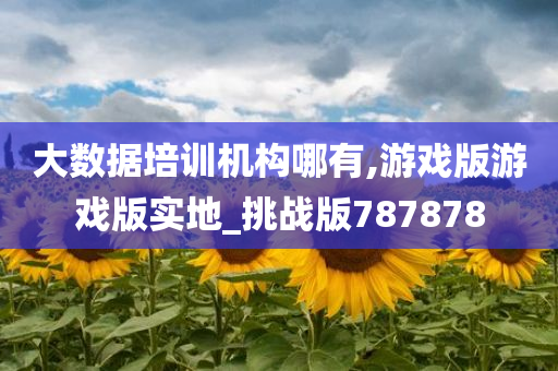 大数据培训机构哪有,游戏版游戏版实地_挑战版787878