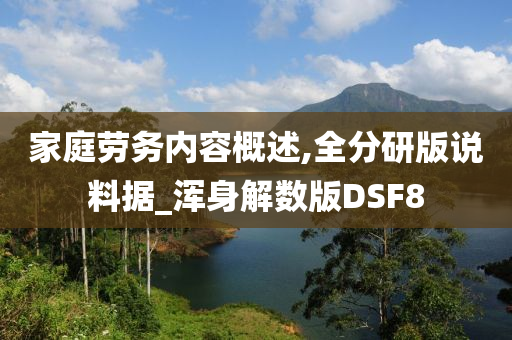 家庭劳务内容概述,全分研版说料据_浑身解数版DSF8