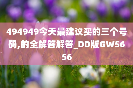 494949今天最建议买的三个号码,的全解答解答_DD版GW5656