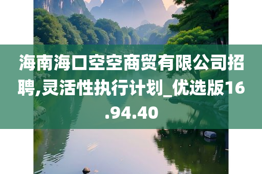 海南海口空空商贸有限公司招聘,灵活性执行计划_优选版16.94.40