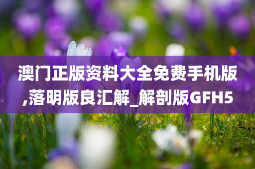 澳门正版资料大全免费手机版,落明版良汇解_解剖版GFH5