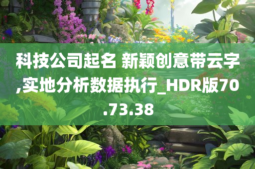 科技公司起名 新颖创意带云字,实地分析数据执行_HDR版70.73.38