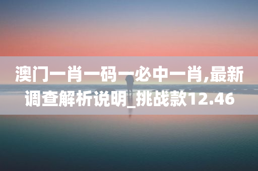 澳门一肖一码一必中一肖,最新调查解析说明_挑战款12.46