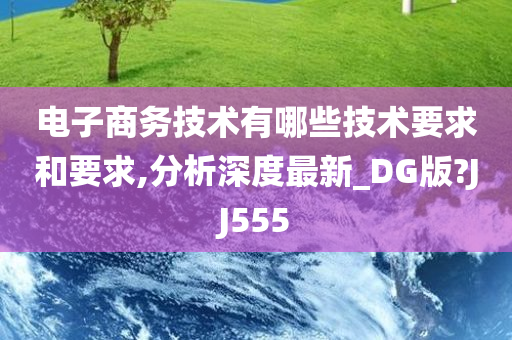 电子商务技术有哪些技术要求和要求,分析深度最新_DG版?JJ555