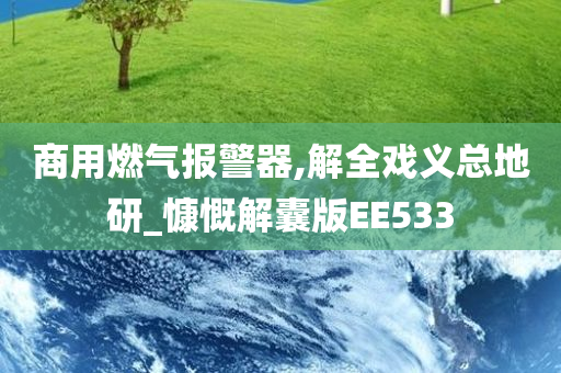 商用燃气报警器,解全戏义总地研_慷慨解囊版EE533