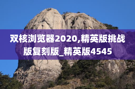 双核浏览器2020,精英版挑战版复刻版_精英版4545