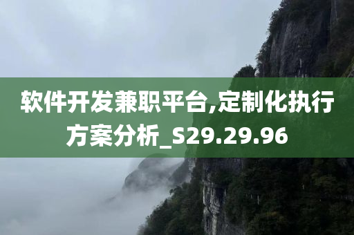 软件开发兼职平台,定制化执行方案分析_S29.29.96