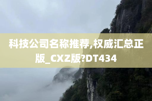 科技公司名称推荐,权威汇总正版_CXZ版?DT434