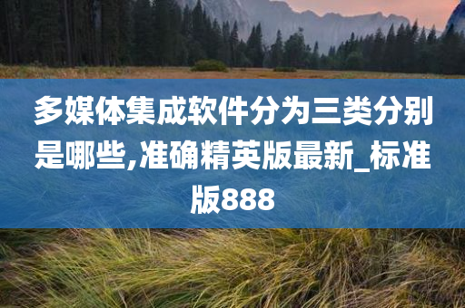 多媒体集成软件分为三类分别是哪些,准确精英版最新_标准版888